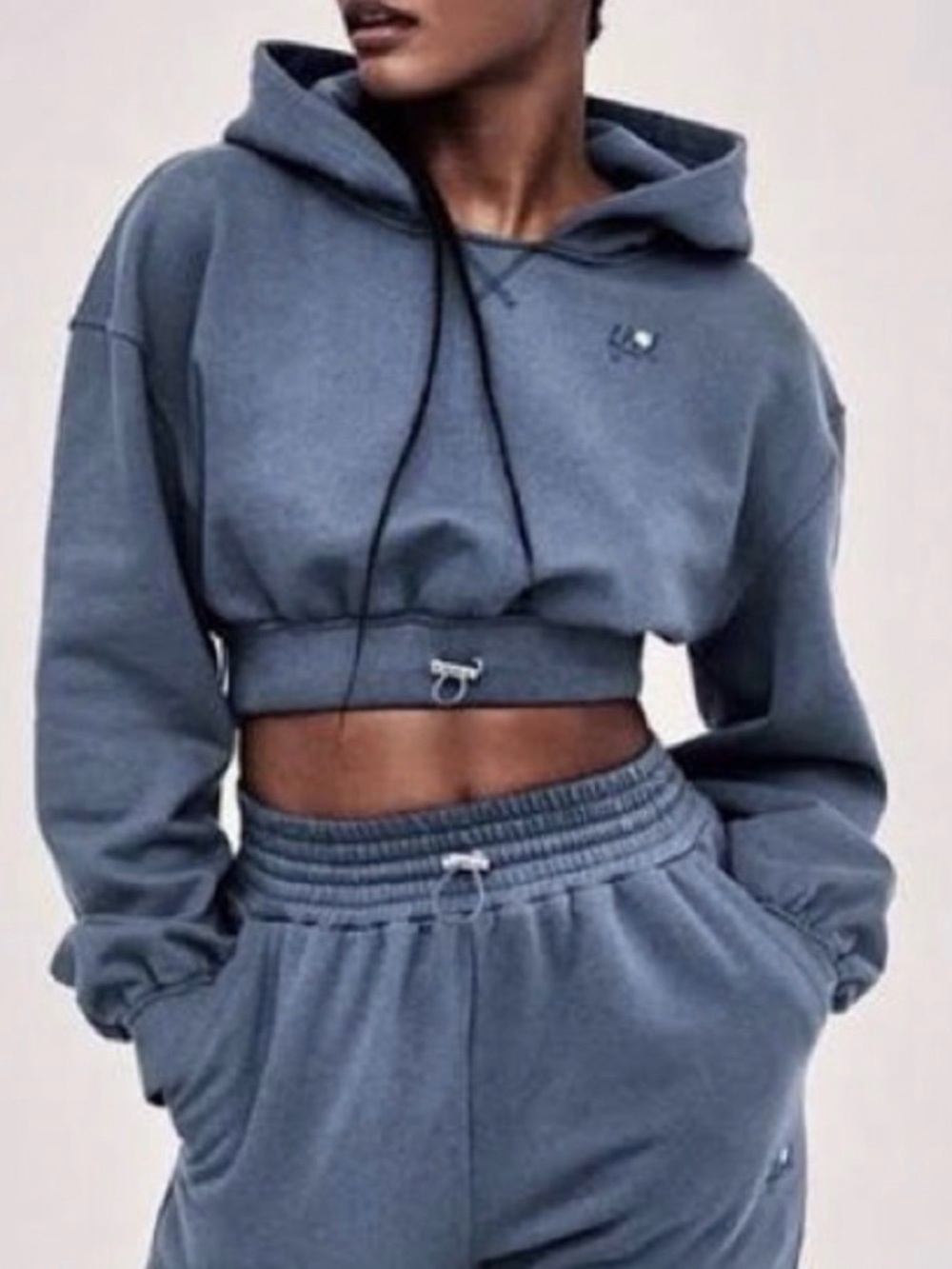 For love and lemons Cropped Hooded Sweatshirt